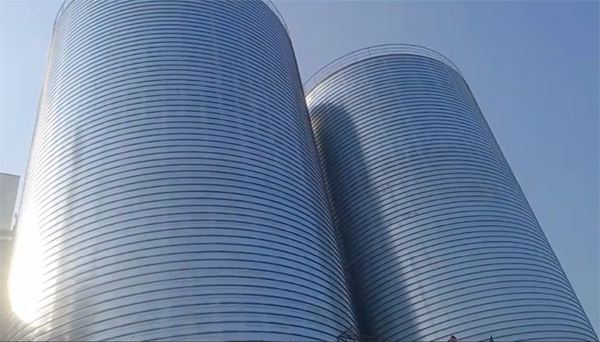 昌都2座混凝土高架卷板仓